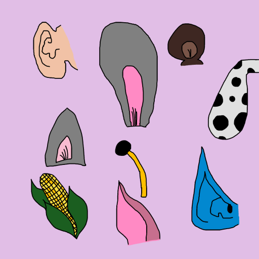 Ear drawing by krissywissy