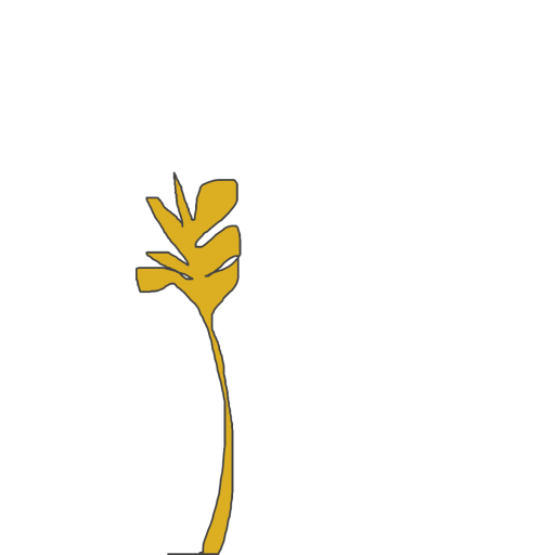 Wheat drawing by calm-mild-weave