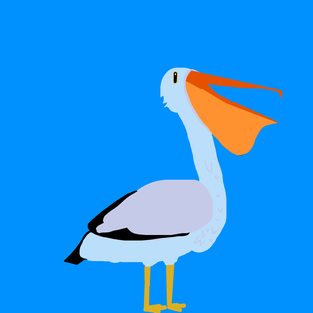 Pelican drawing by navy-fine-loom