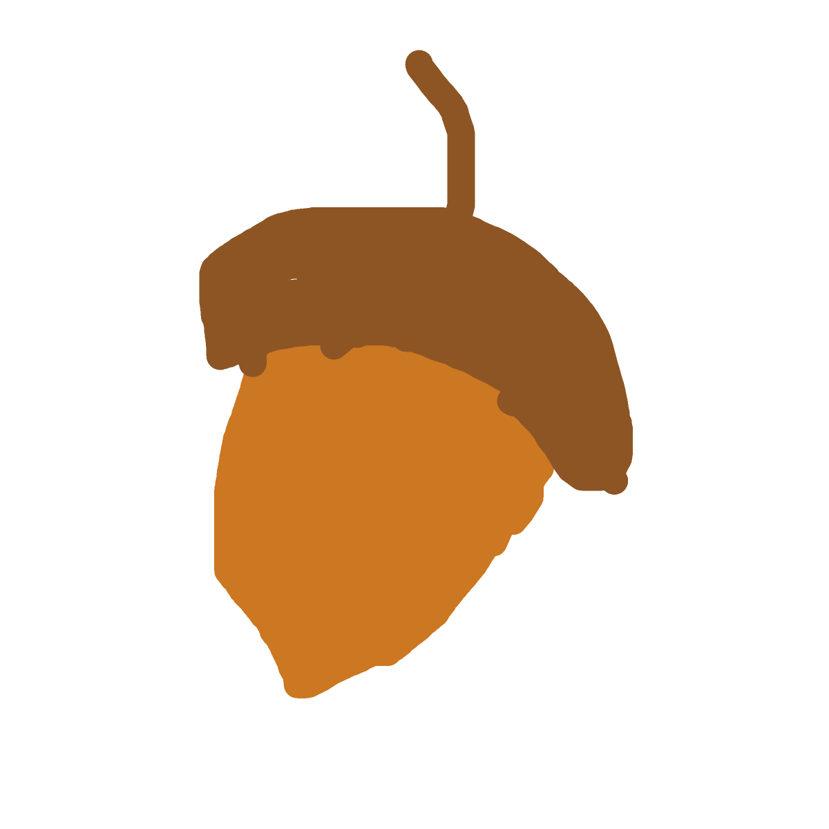 Acorn drawing by tandman