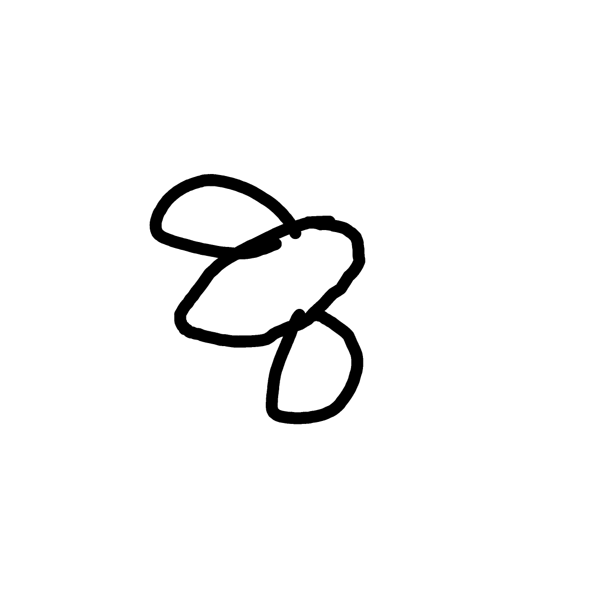 Fly drawing by Shandi