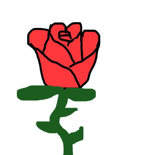 Rose drawing by tandman