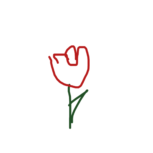 Rose drawing by jimboni