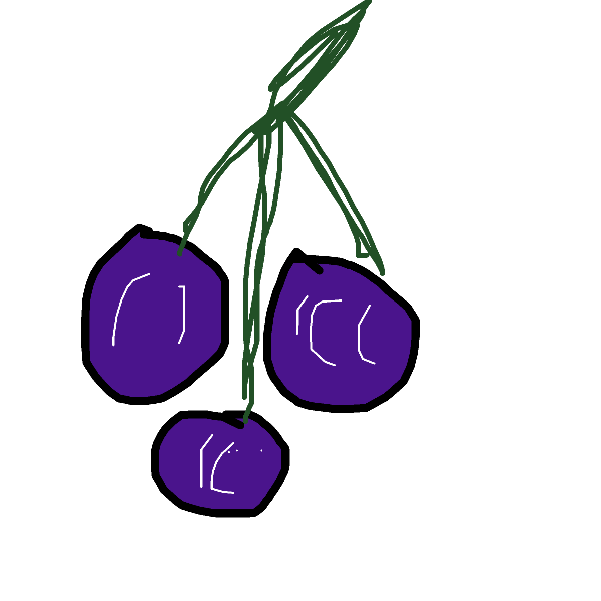 Grapes drawing by dan