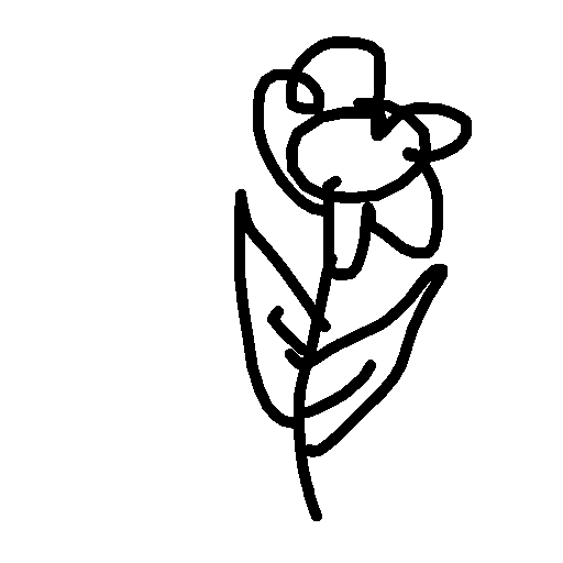 Flower drawing by nick