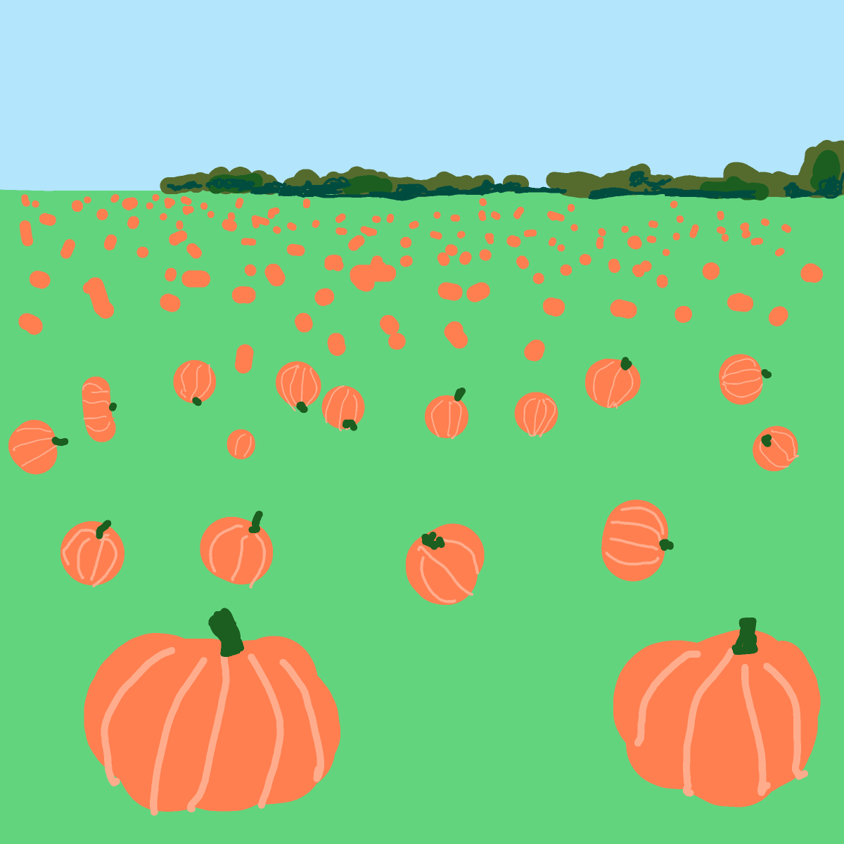 Pumpkin Patch drawing by ninja