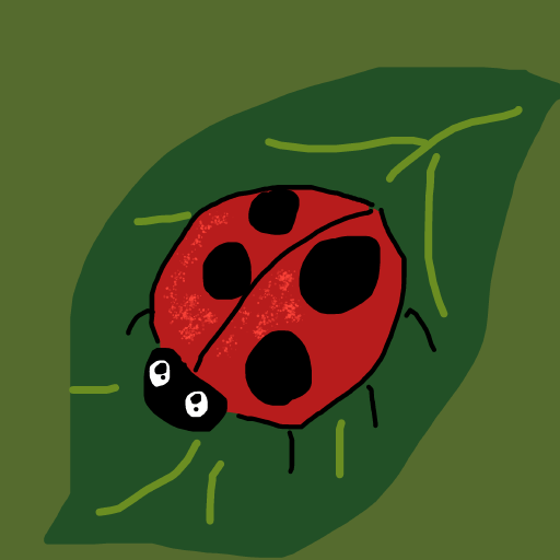 Ladybug drawing by rowan