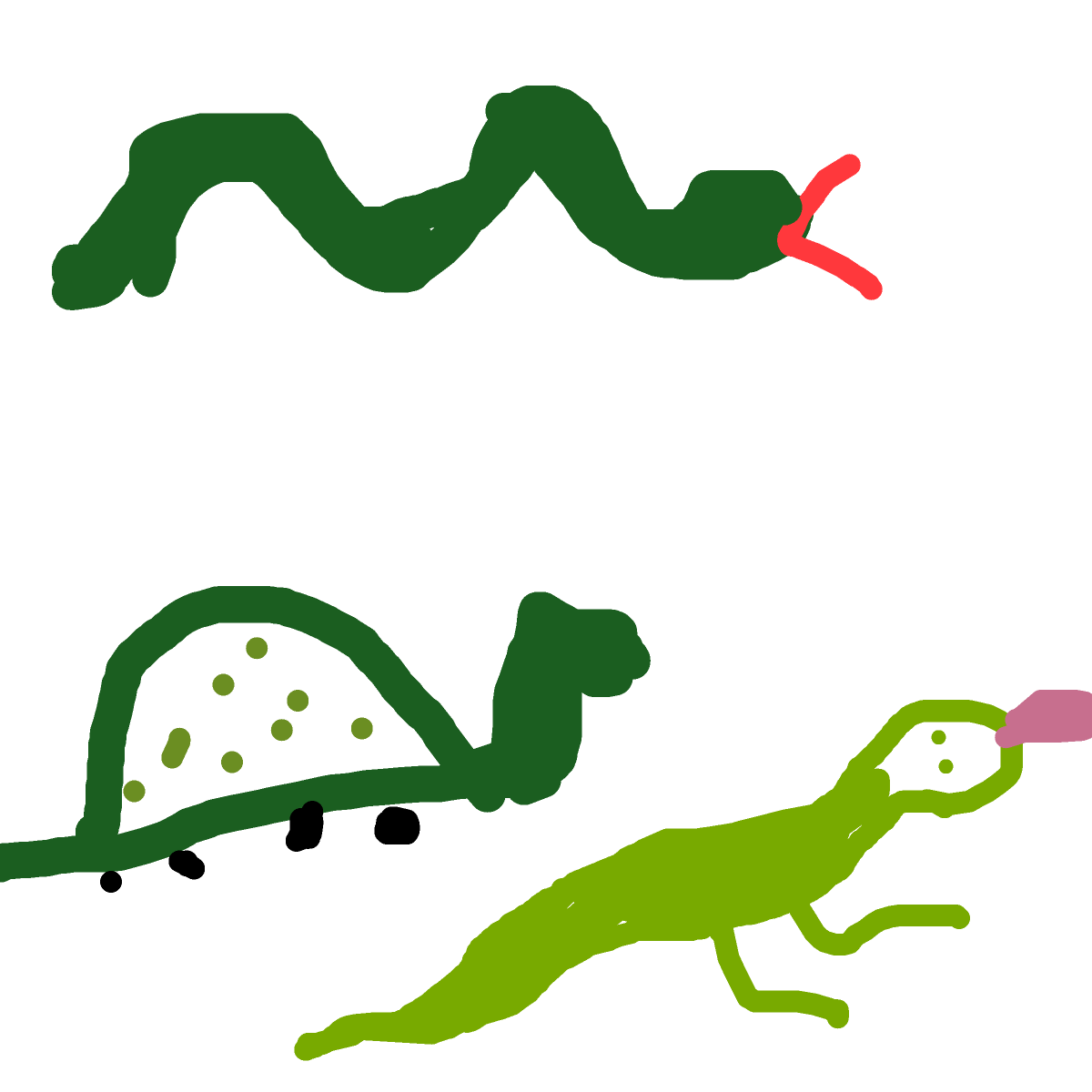 Reptile drawing by rose