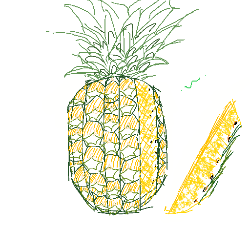 Pineapple drawing by nammy
