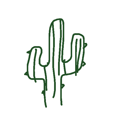 Cactus drawing by nammy