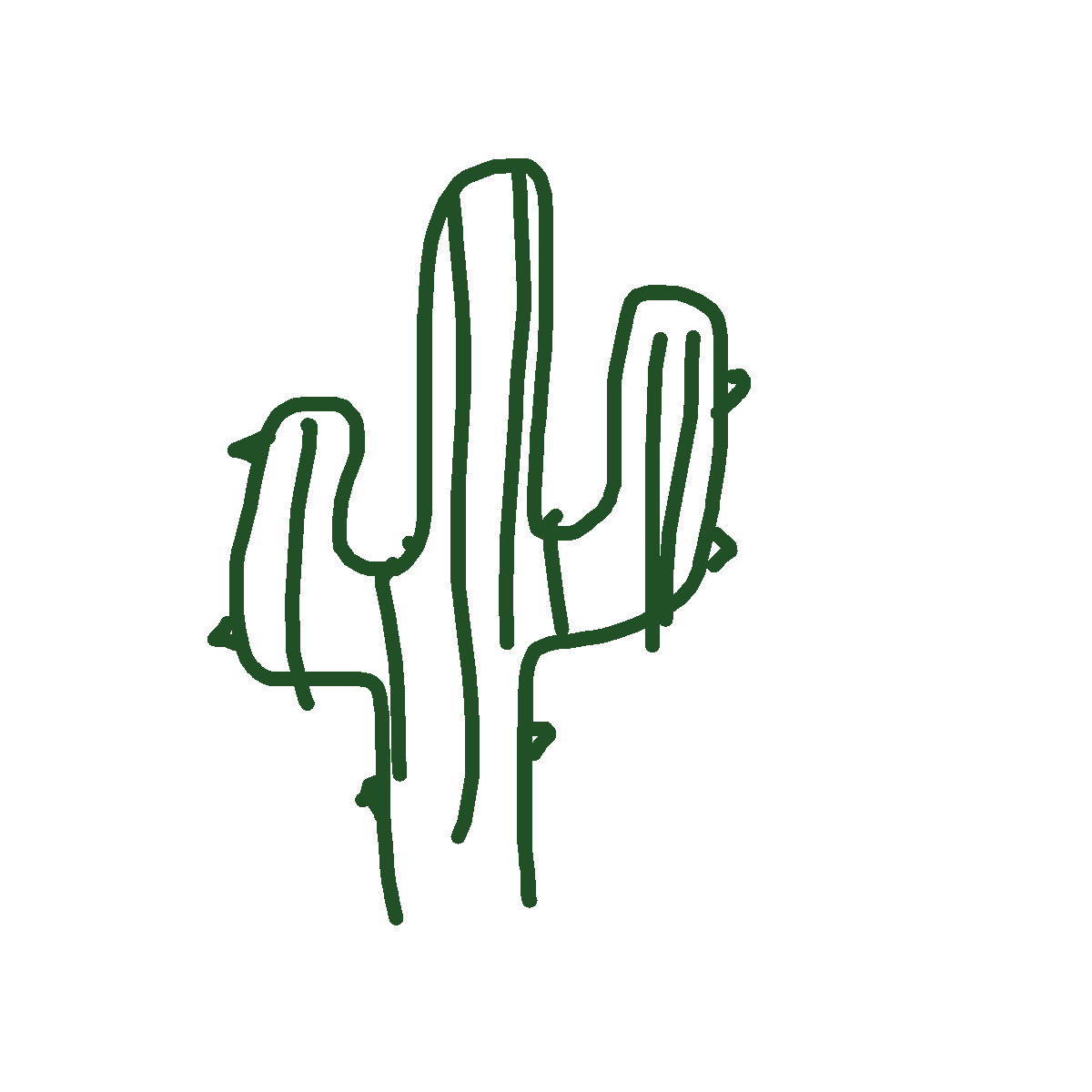 Cactus drawing by nammy