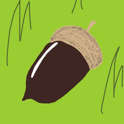 Acorn drawing by nicodarunia