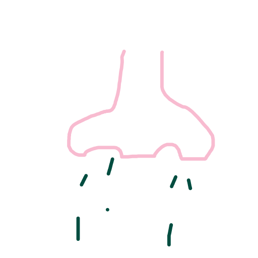 Nose drawing by bgggg