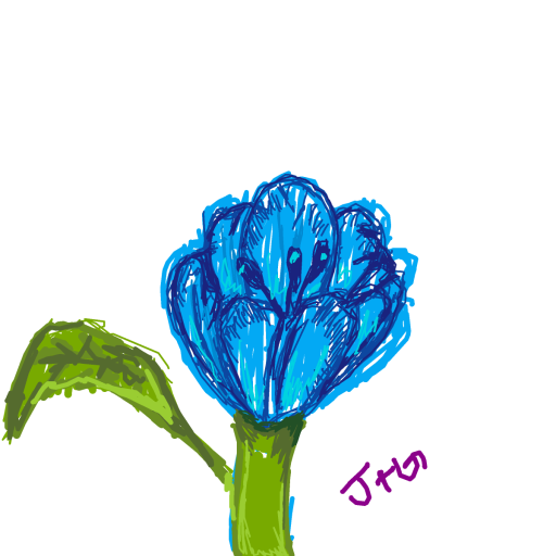Tulip drawing by Dada