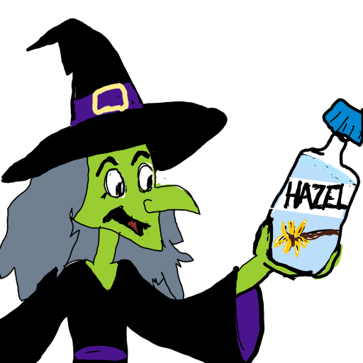 Witch Hazel drawing by manders