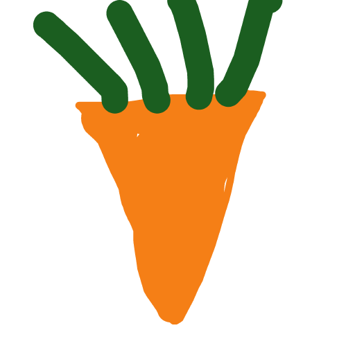 Carrot drawing by rose