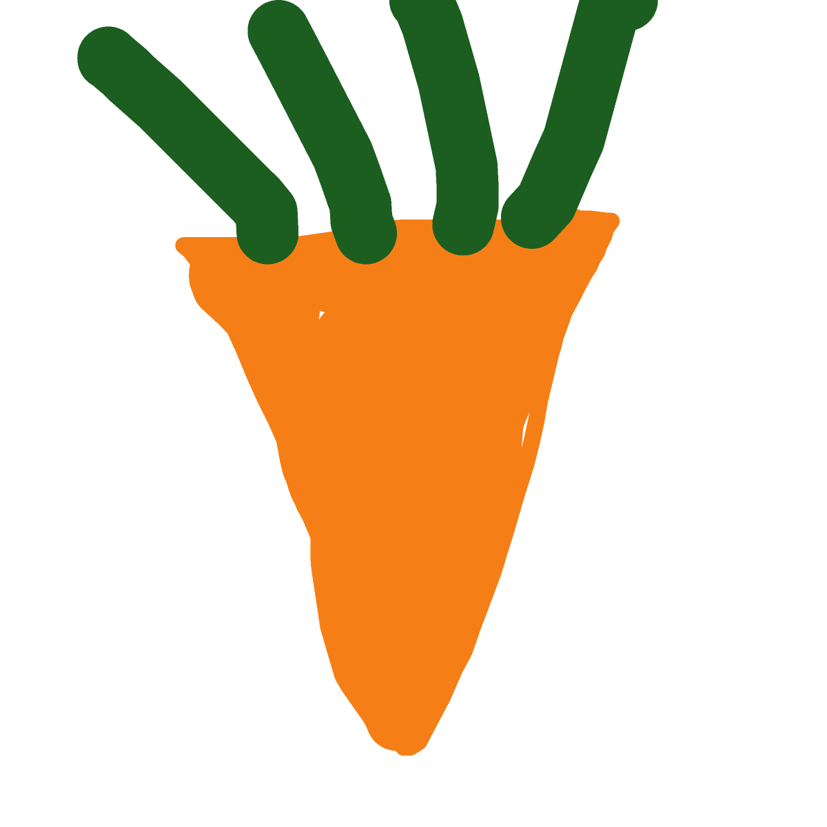 Carrot drawing by rose