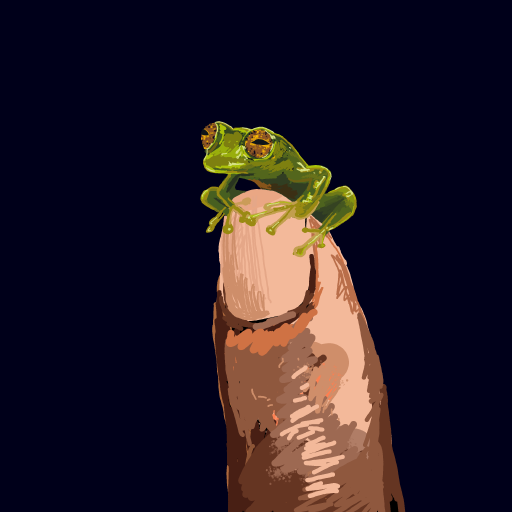 Frog drawing by Soybean