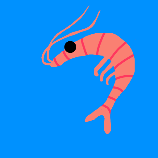 Shrimp drawing by navy-fine-loom