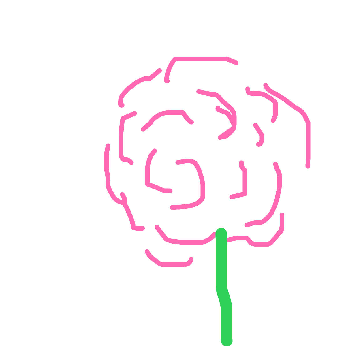 Rose drawing by pikapikachuu
