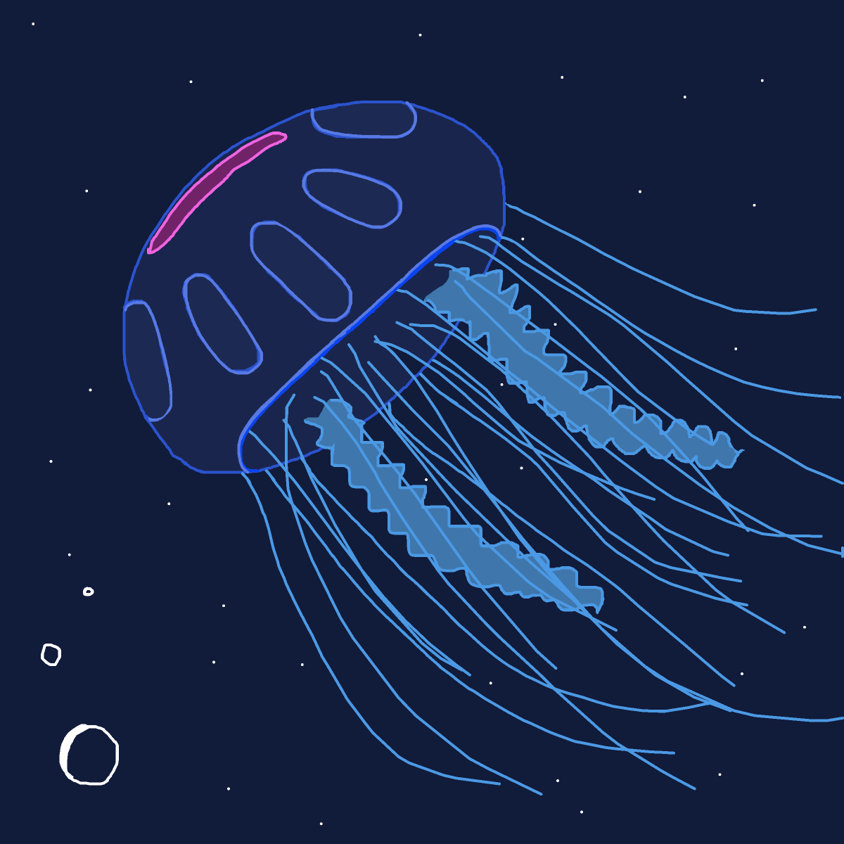 Jellyfish drawing by firecracker