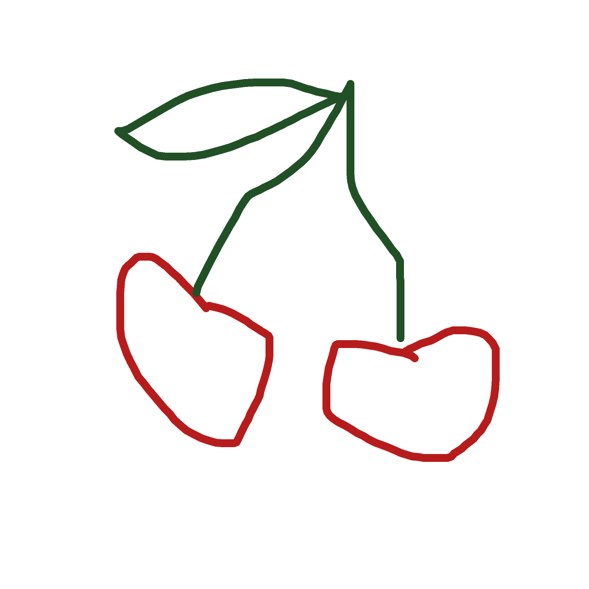 Cherry drawing by bgggg