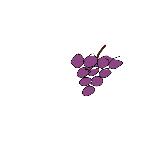 Grapes drawing by Shandi