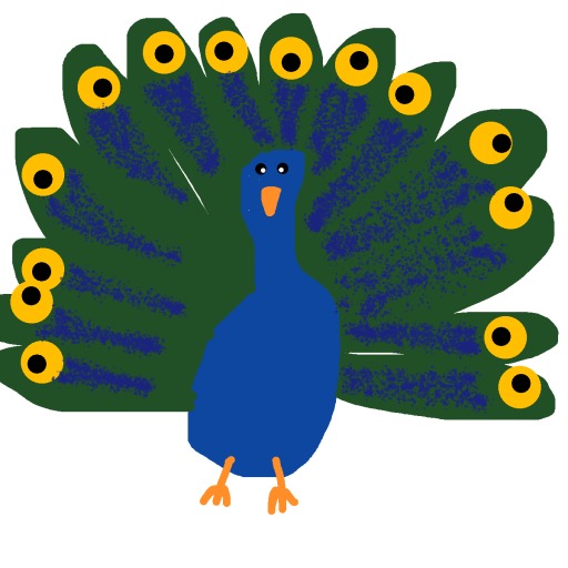 Peacock drawing by nicodarunia