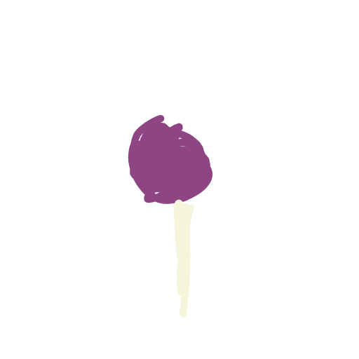 Lollipop drawing by ruby