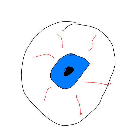 Eyeball drawing by Shandi