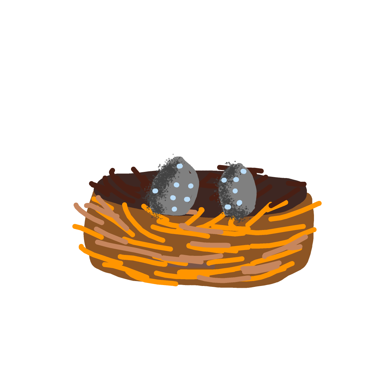 Nest drawing by solid-plus-peak
