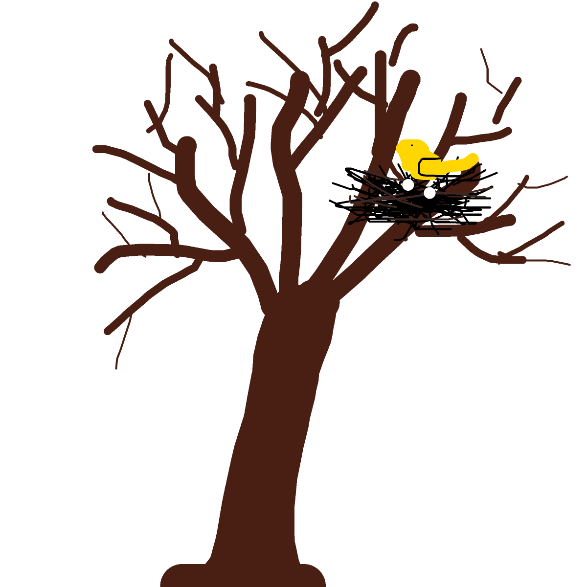 Nest drawing by vangogh