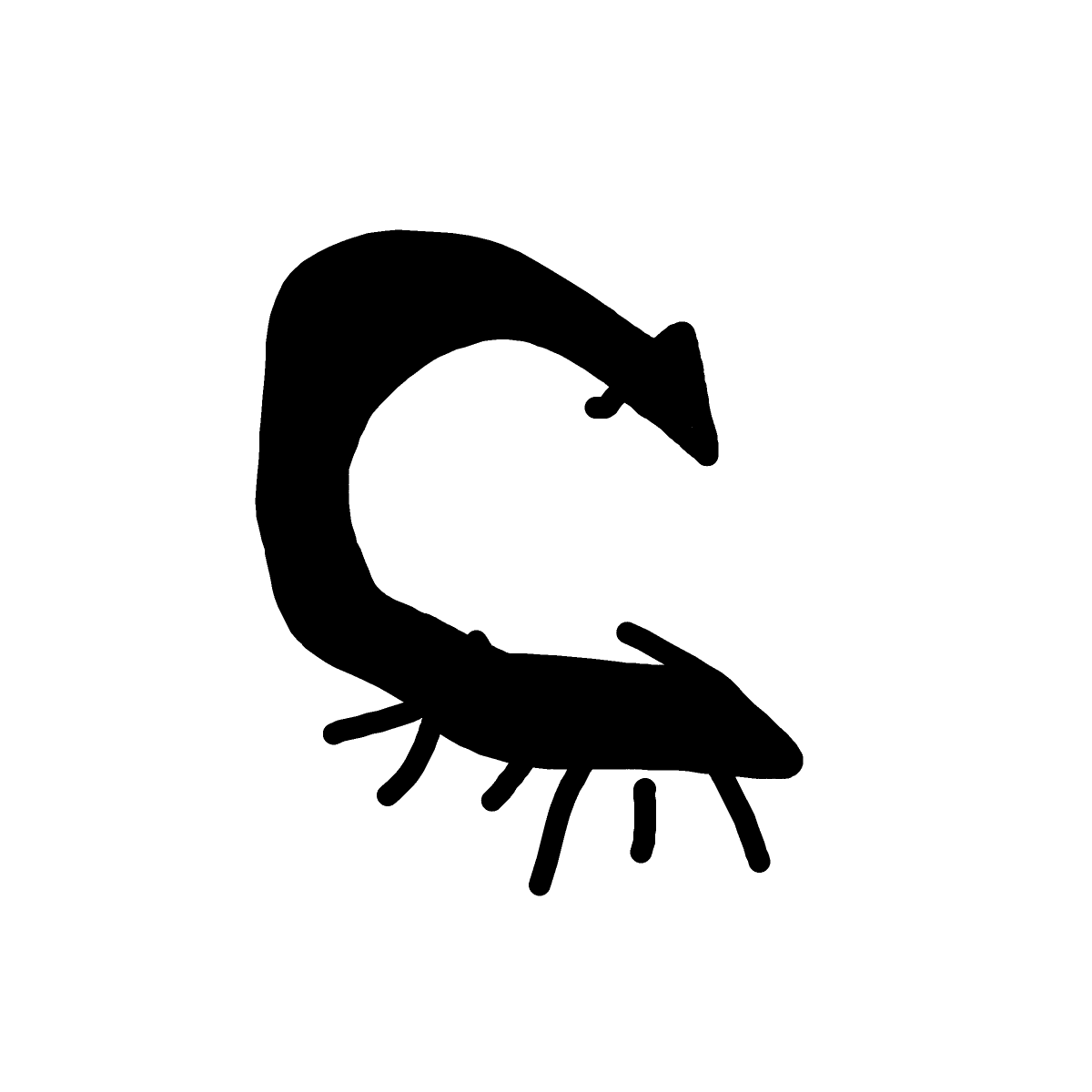 Scorpion drawing by Timmie