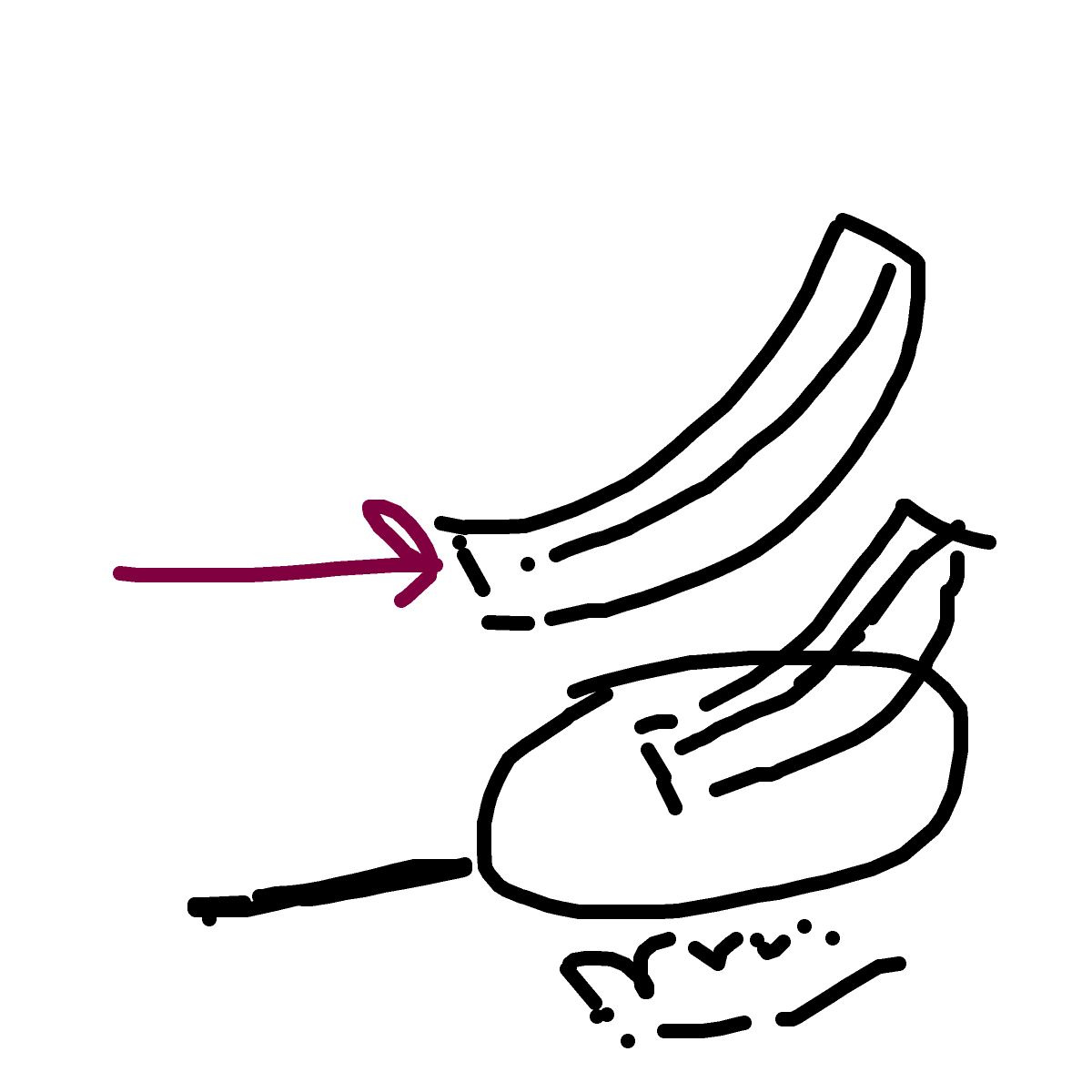 Bacon drawing by bia