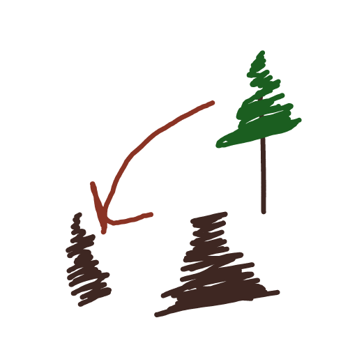Pinecone drawing by Shandi