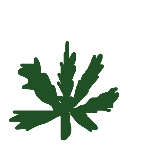 Green Herb drawing by knoxy