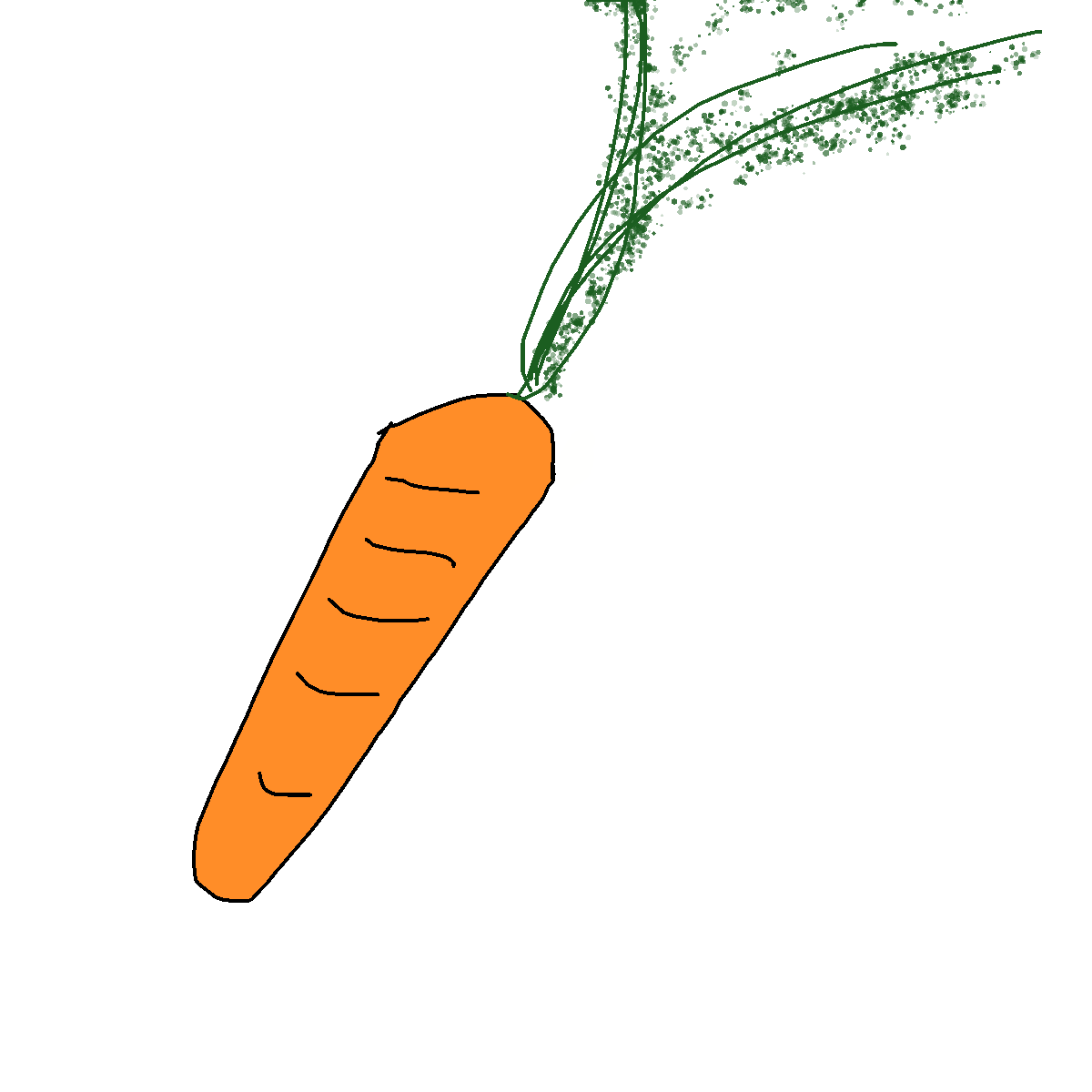 Carrot drawing by kyle