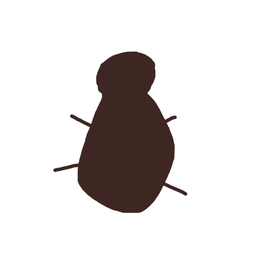 Cockroach drawing by alexis