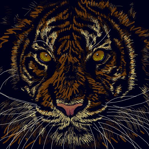 Tiger drawing by Soybean