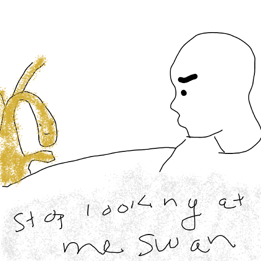 Swan drawing by Shandi