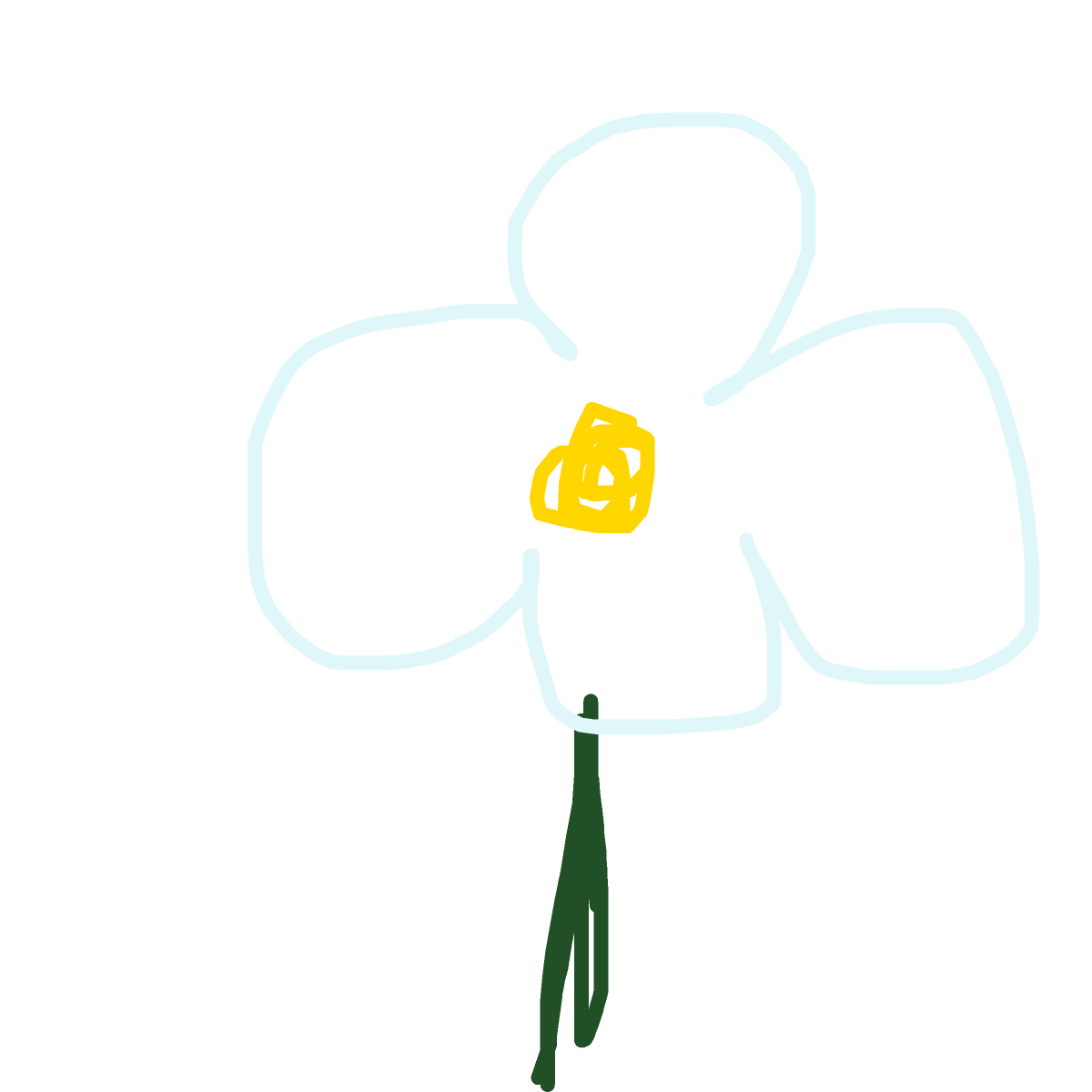Daisy drawing by bones