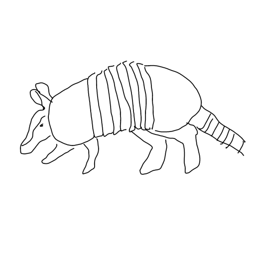 Armadillo drawing by zinc-solo-artist