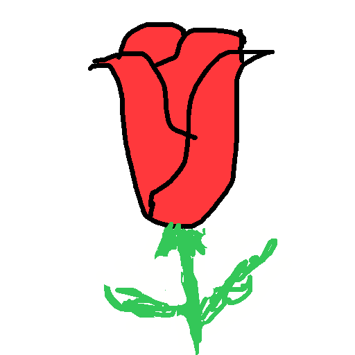Rose drawing by fire-quick-wheel