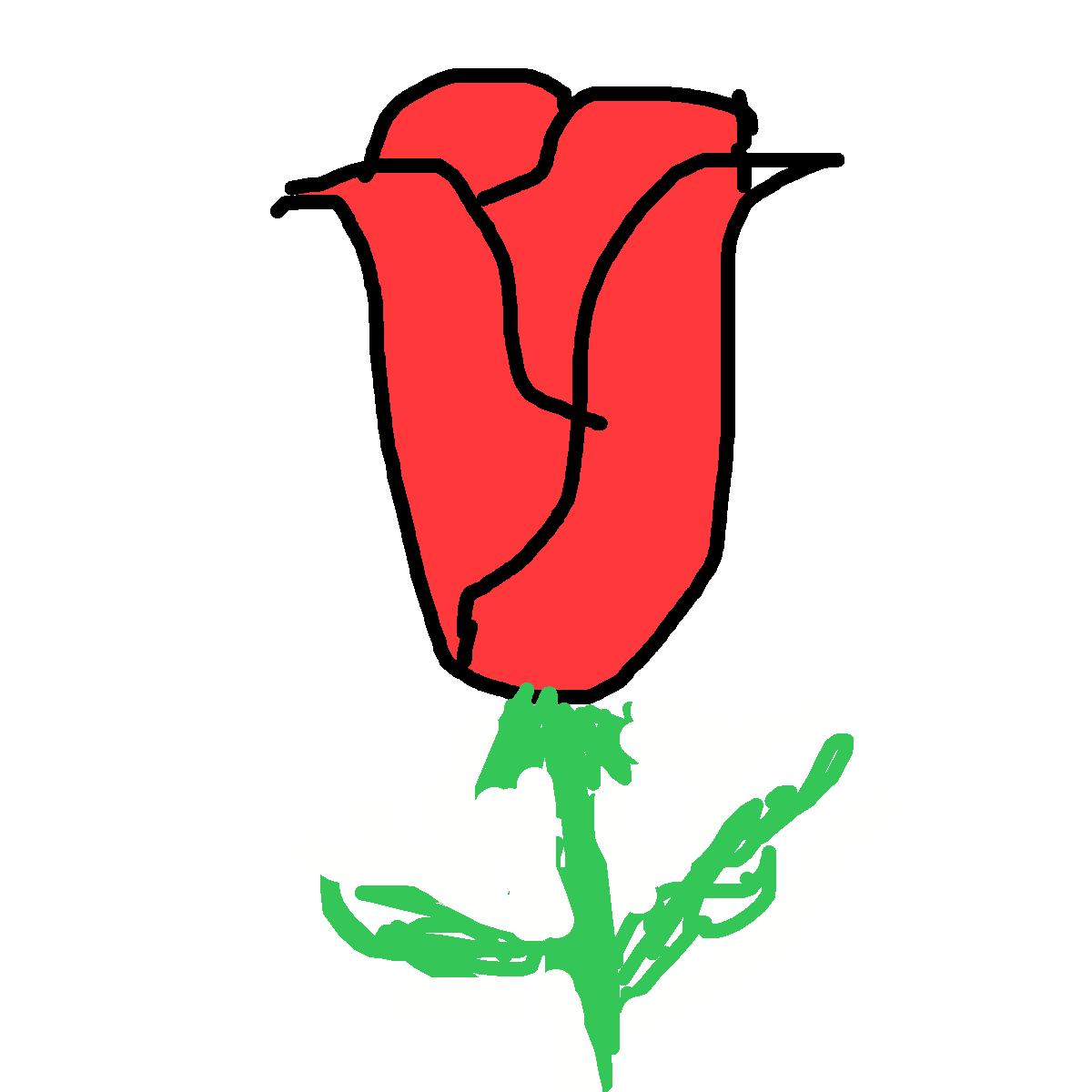 Rose drawing by fire-quick-wheel