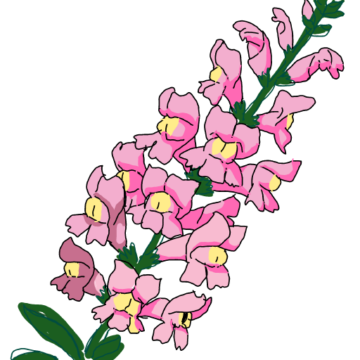 Snapdragon drawing by Guardianoflives