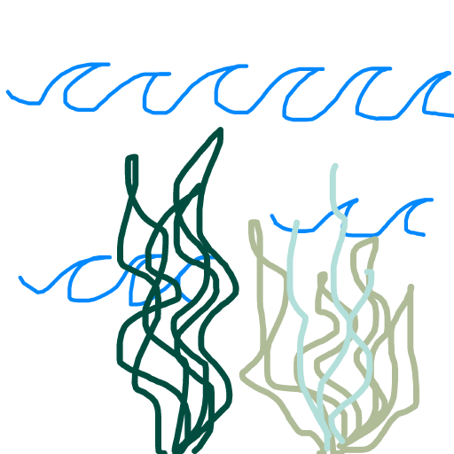 Seaweed drawing by kind-gold-master