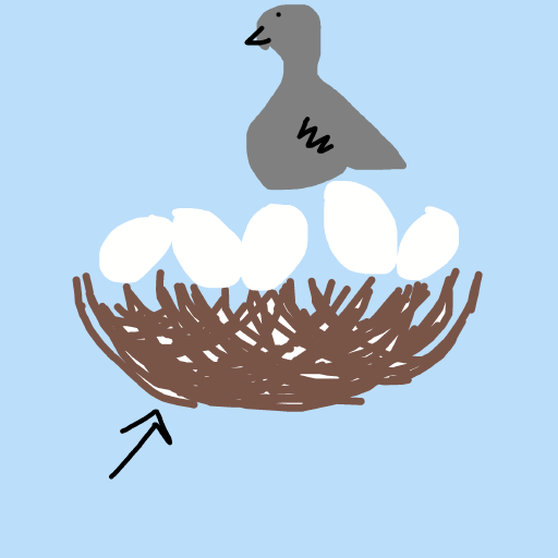 Nest drawing by ms lady