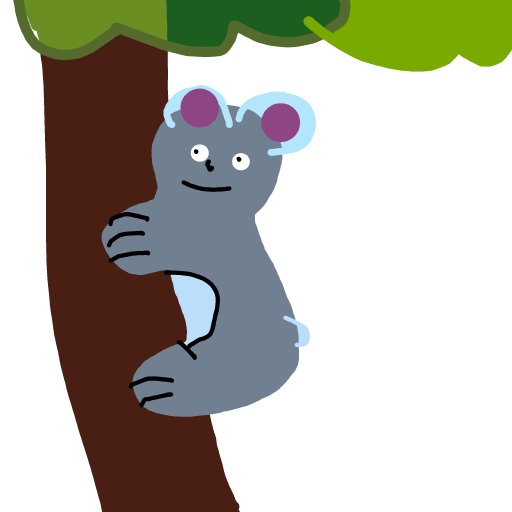 Koala drawing by Timmie