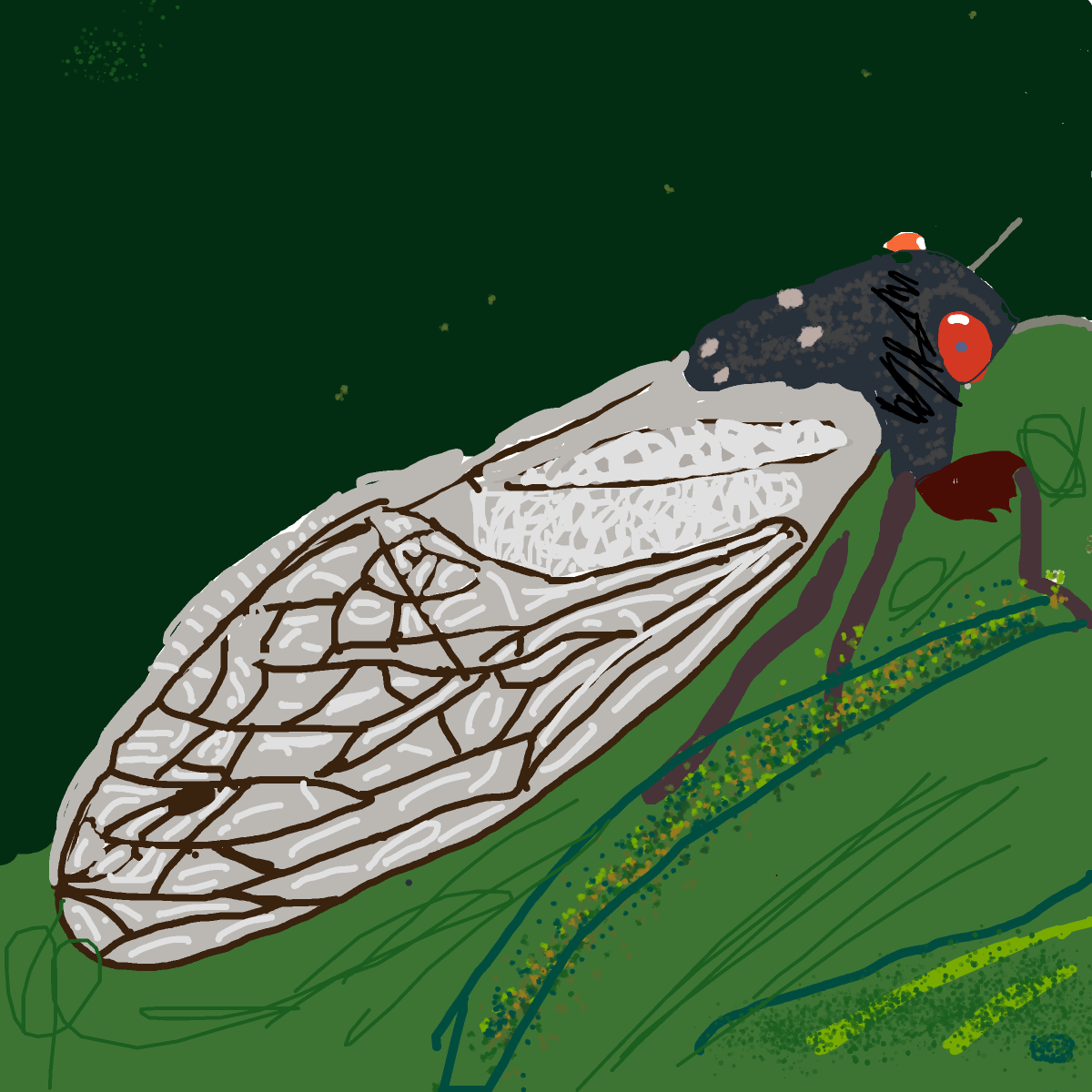 Cicada drawing by icy-cream-eye