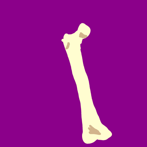 Bone drawing by Guardianoflives